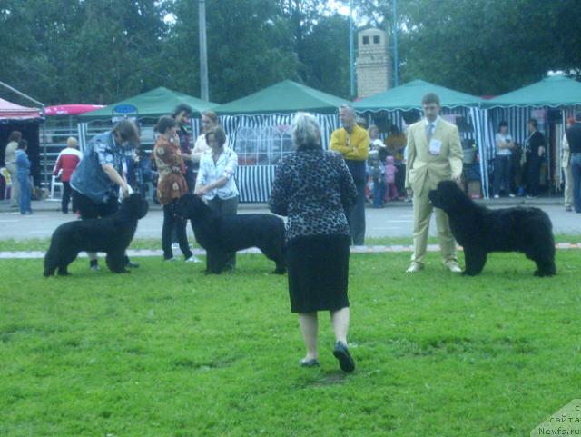 Фотография № 29199