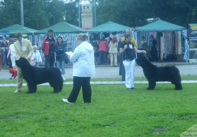 Фотография № 29200