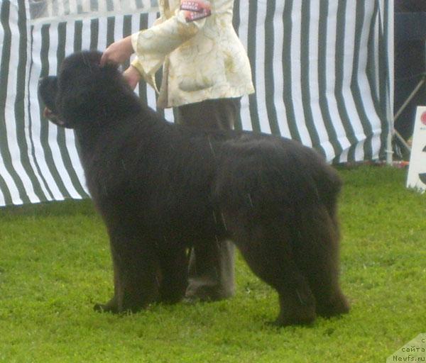 Фотография № 29205