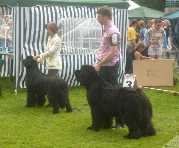 Фотография № 29207