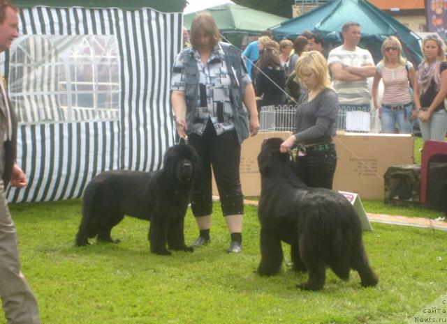 Фотография № 29209