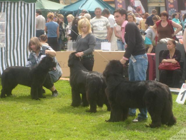 Фотография № 29210