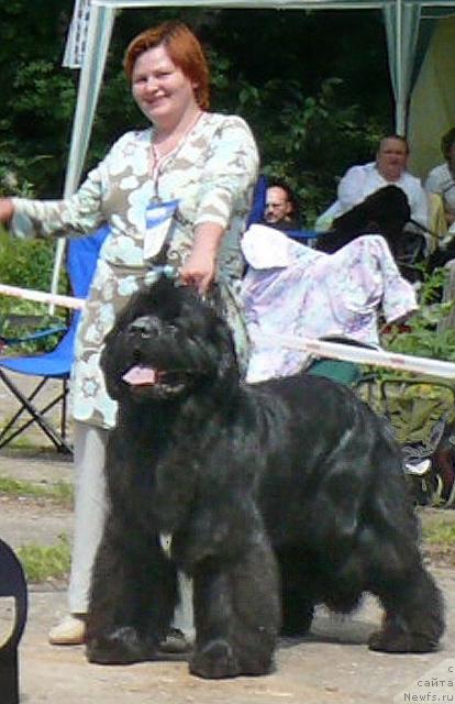 Фотография № 29259