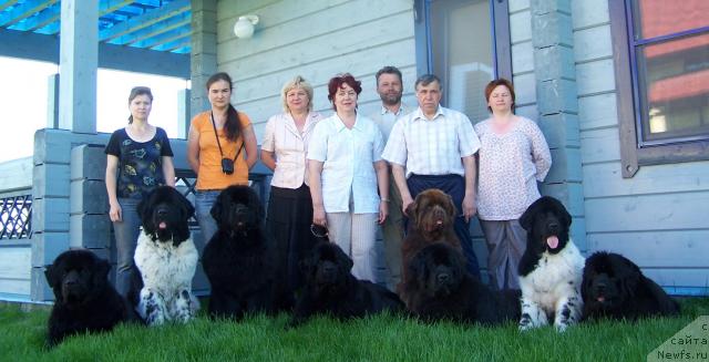 Фото: ньюфаундленд Акванавт из Тихого Омута (Akvanavt iz Tihogo Omuta), Ангелина Ютанова, ньюфаундленд Супер Бизон Арго (Super Bizon Argo), Ксения Новикова, ньюфаундленд King of Helluland Viking, Эльвира Сумина, Варова Эльвира, ньюфаундленд Велл Спирит Лилит (Vell Spirit Lillit), Александр Филатов, Рудаков Яков, ньюфаундленд Amazing Grace vom Riesrand, ньюфаундленд Акватория Келвин Звездная Королева (Aquatoriya Kelvin Zvezdnaya Koroleva), Татьяна Абутова, ньюфаундленд Плюшевая Панда Ла Белла, ньюфаундленд Акватория Келвин Заския
