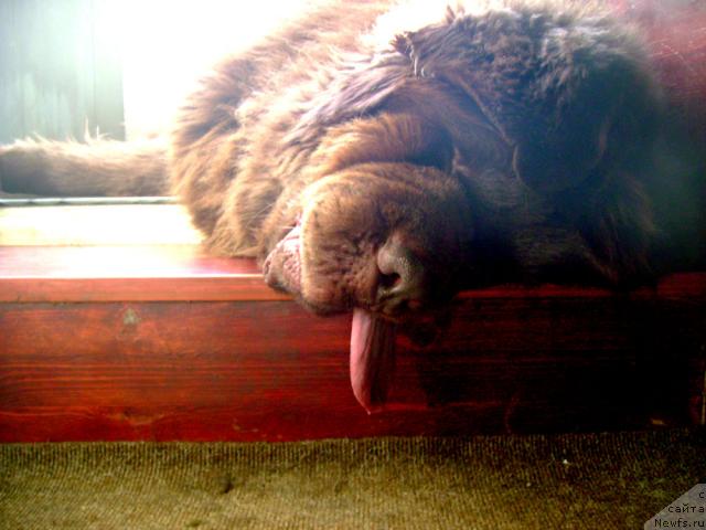 Фотография № 29292