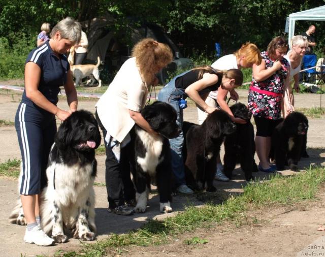 Фотография № 29295