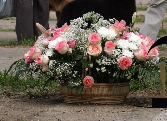 Фотография № 29296