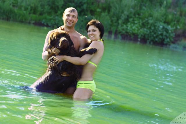 Фото: ньюфаундленд Лесная Сказка Королевский Медведь (Lesnaja Skazka Korolevskiy Medved), Дмитрий Самарцев, Светлана Самарцева