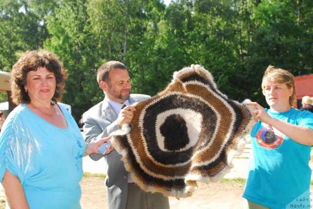 Фотография № 29309