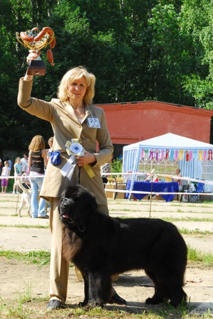 Фотография № 29310