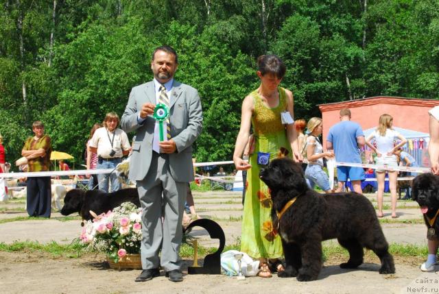 Фотография № 29311