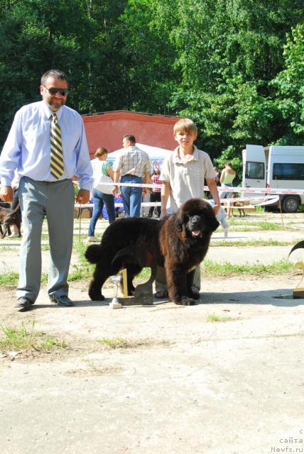 Фотография № 29312