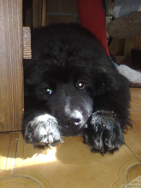 Фотография № 29323