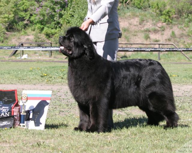 Фотография № 29413