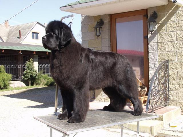 Фотография № 29436