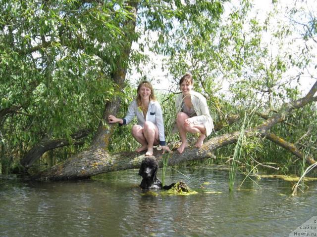 Фото: Татьяна, Мария Короткина, ньюфаундленд Лунная Красавица