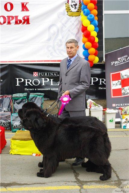 Фотография № 29574