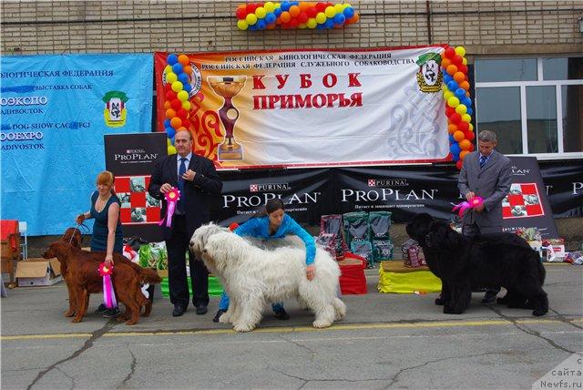 Фотография № 29575