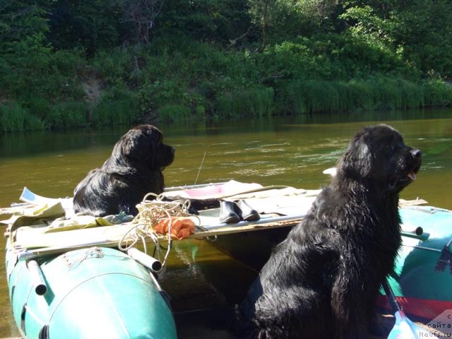 Фотография № 29580