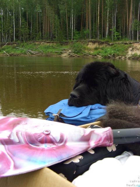 Фотография № 29590