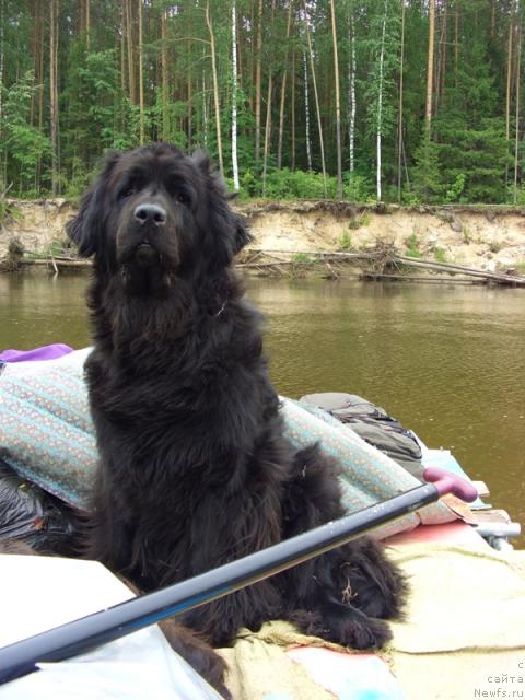 Фотография № 29591