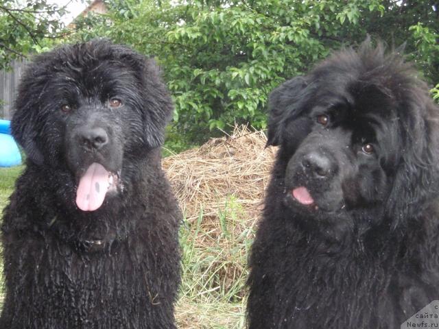 Фотография № 29630