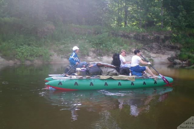 Фотография № 29658