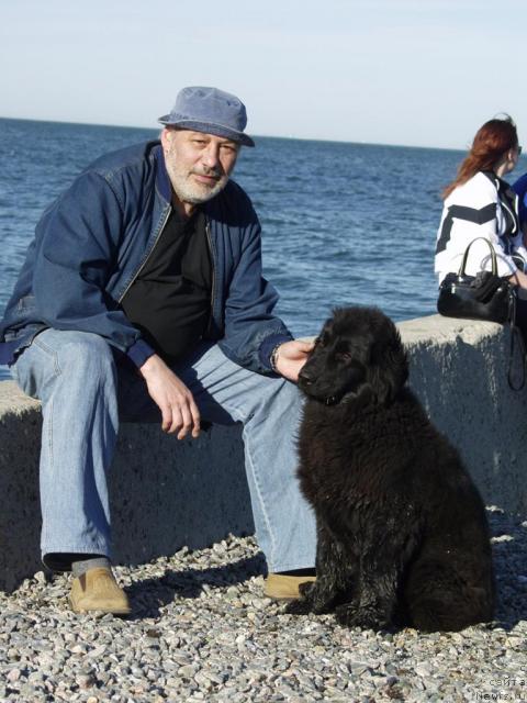 Фото: Сергей Журженко