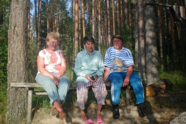 Фотография № 29662