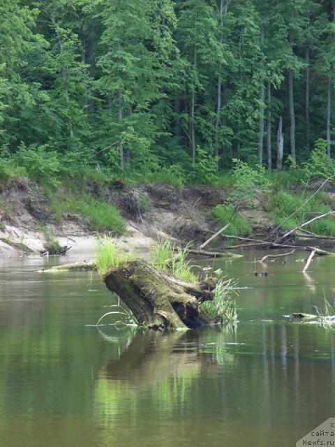 Фотография № 29664