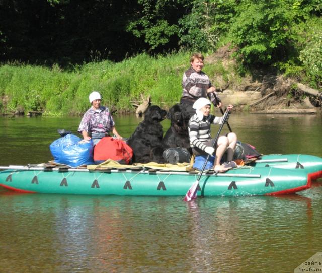 Фотография № 29669