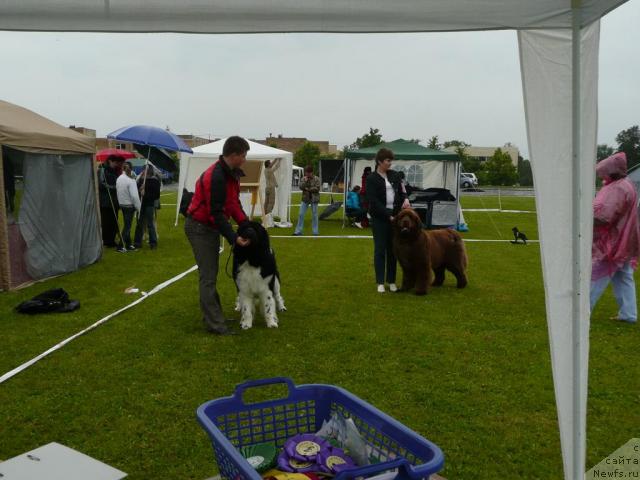 Фотография № 29881