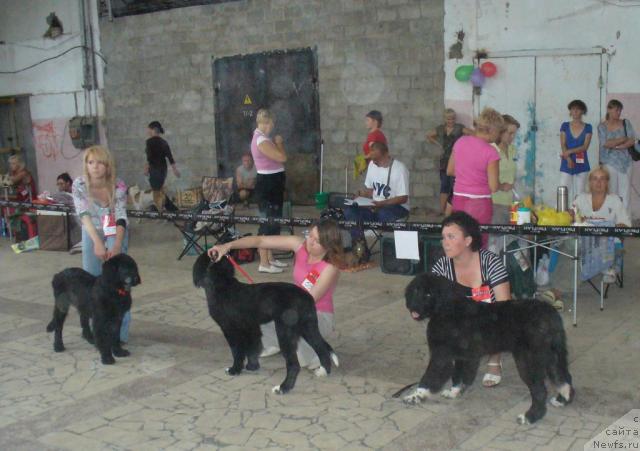 Фотография № 29894