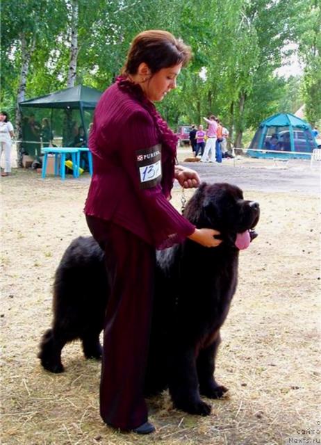 Фотография № 29981