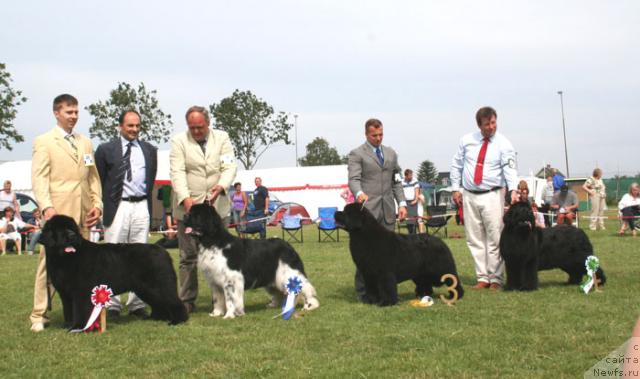 Фотография № 29986