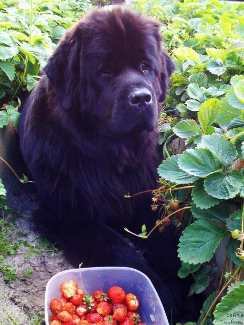 Фотография № 29989