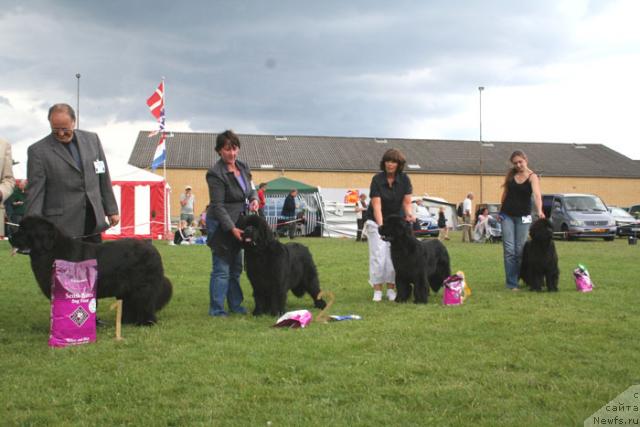 Фотография № 29992