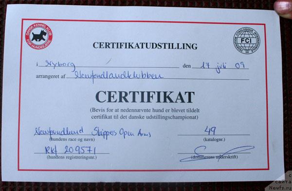 Фотография № 29993