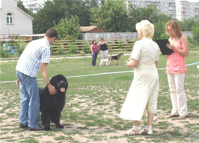 Фотография № 30005