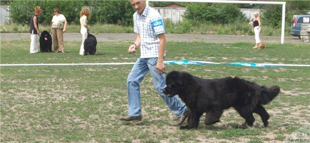 Фотография № 30006