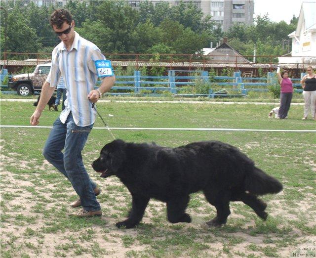 Фотография № 30008