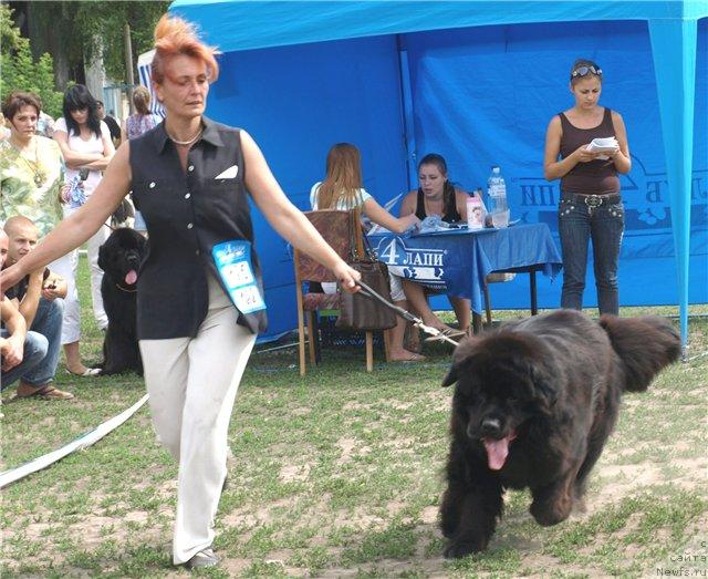 Фотография № 30010