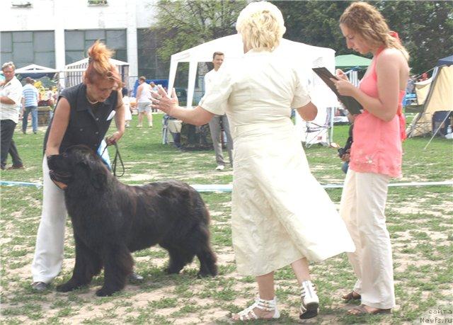 Фотография № 30011