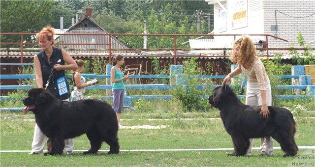 Фотография № 30017