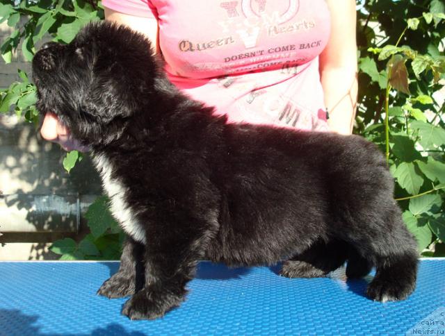 Фотография № 30030