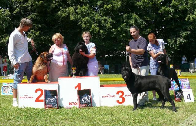 Фотография № 30066