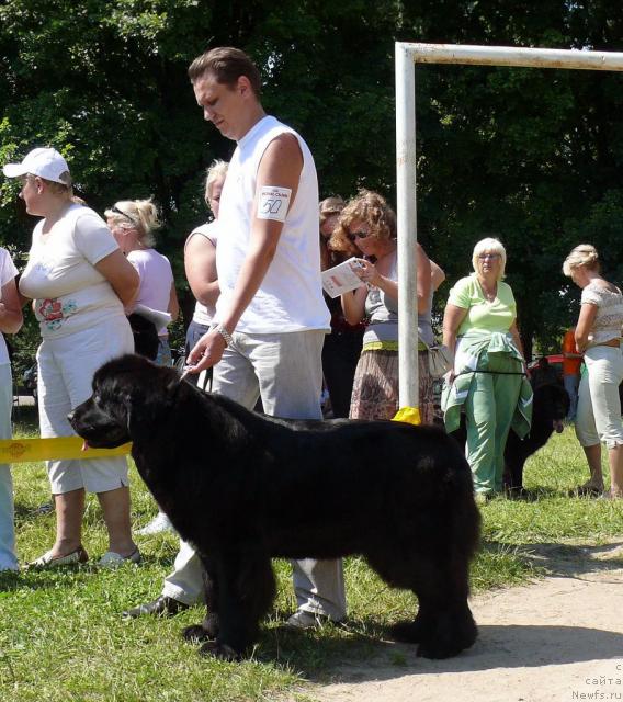 Фотография № 30070