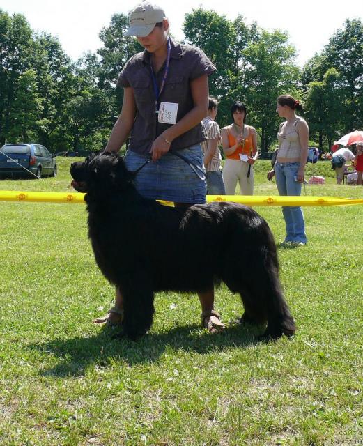 Фотография № 30071