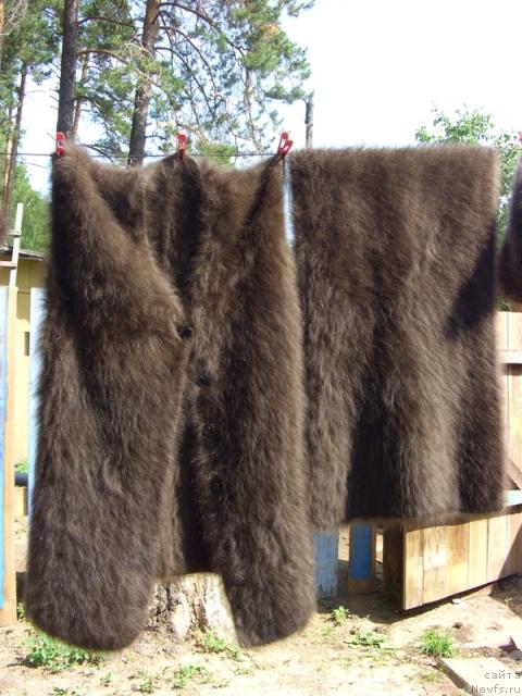 Фотография № 30074