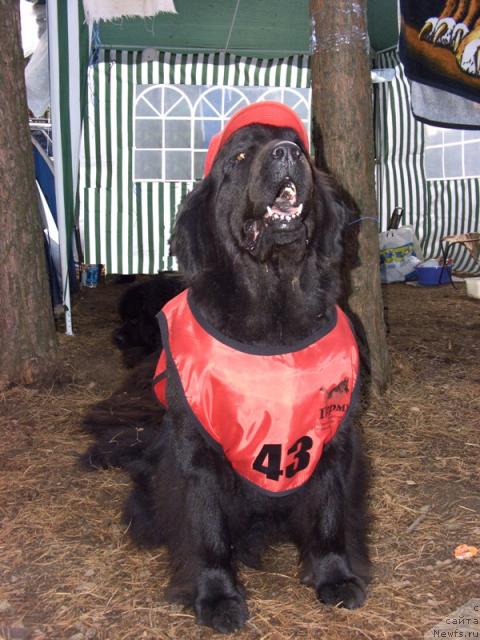 Фотография № 30076